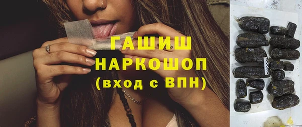 СК Алексин