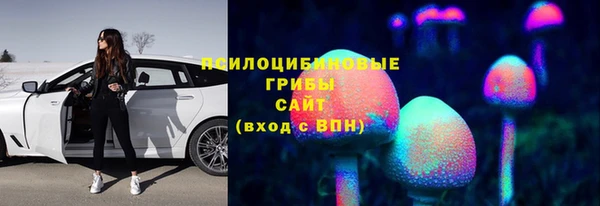 кокс Алзамай