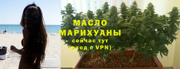 СК Алексин