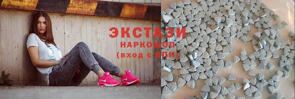 СК Алексин