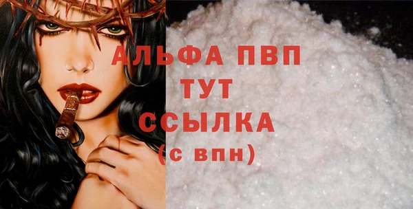 СК Алексин